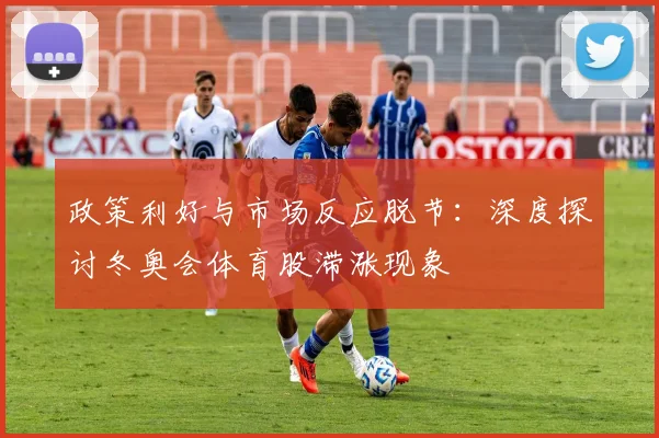 政策利好与市场反应脱节：深度探讨冬奥会体育股滞涨现象