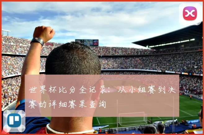 世界杯比分全记录：从小组赛到决赛的详细赛果查询