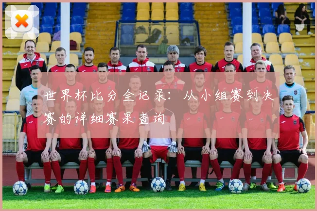 世界杯比分全记录：从小组赛到决赛的详细赛果查询