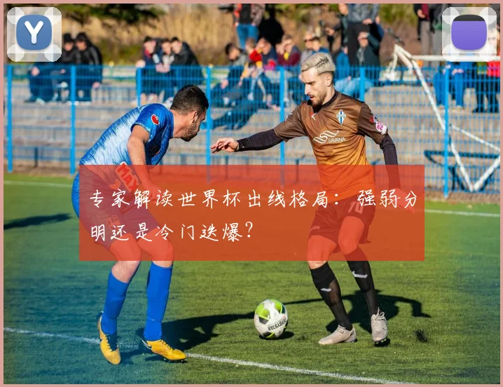 专家解读世界杯出线格局:强弱分明还是冷门迭爆?