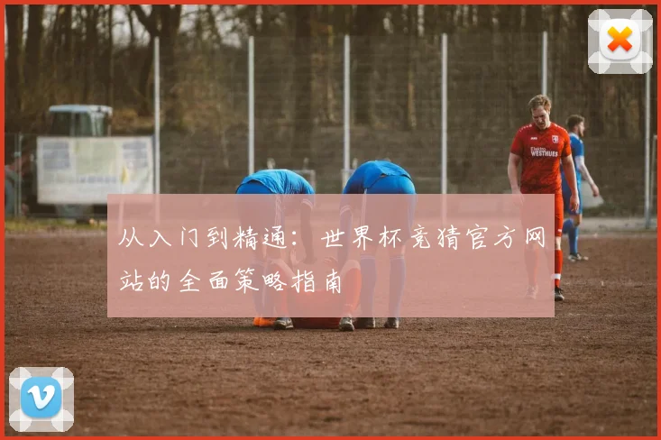从入门到精通:世界杯竞猜官方网站的全面策略指南