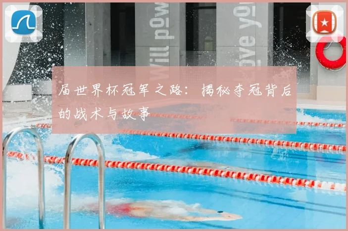 届世界杯冠军之路:揭秘夺冠背后的战术与故事