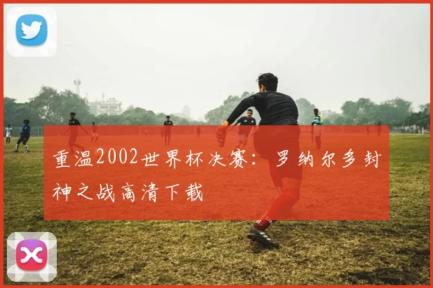 重温2002世界杯决赛：罗纳尔多封神之战高清下载