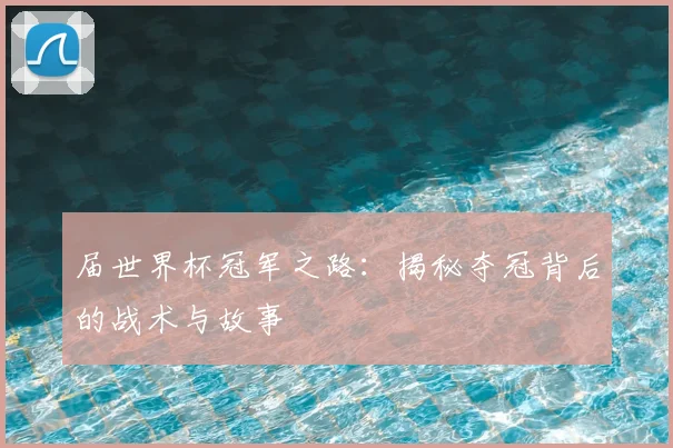 届世界杯冠军之路:揭秘夺冠背后的战术与故事
