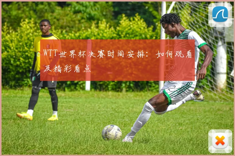 WTT世界杯决赛时间安排：如何观看及精彩看点